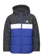 Jb Cb Pad Jkt Sport Jackets & Coats Puffer & Padded Black Adidas Sport...