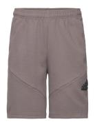 U Fi Logo Sh Sport Shorts Brown Adidas Performance