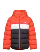 J Sd Jkt Outerwear Jackets & Coats Winter Jackets Orange Adidas Sports...