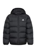 Lk Sd Jkt Outerwear Jackets & Coats Winter Jackets Black Adidas Sports...