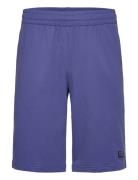 Bermuda Bottoms Shorts Sweat Shorts Blue EA7