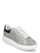 Icebox Sneaker Low-top Sneakers Grey Steve Madden