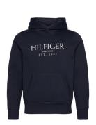 Big Hilfiger Hoody Tops Sweatshirts & Hoodies Hoodies Navy Tommy Hilfi...