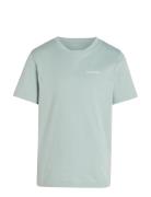 Chest Inst.logo Ss T-Shirt Tops T-Kortærmet Skjorte Blue Calvin Klein