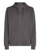 Fz Hoodie Tops Sweatshirts & Hoodies Hoodies Grey Tommy Hilfiger