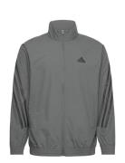 M Fi Wv Tt Tops Sweatshirts & Hoodies Sweatshirts Grey Adidas Sportswe...