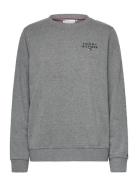 Track Top Tops Sweatshirts & Hoodies Sweatshirts Grey Tommy Hilfiger