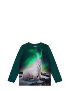 Reif Tops T-shirts Long-sleeved T-Skjorte Green Molo