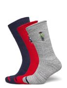 Polo Bear Roll-Top 3-Sock Gift Set Underwear Socks Regular Socks Multi...