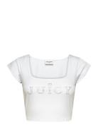 Regal Square Neck Cropped Tee Tops Crop Tops Short-sleeved Crop Tops W...