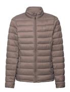 Tepic Jr. Pro-Lite Jacket Foret Jakke Brown Whistler