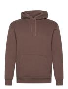 Hco. Guys Sweatshirts Tops Sweatshirts & Hoodies Hoodies Brown Hollist...