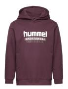 Hmltukas Hoodie Tops Sweatshirts & Hoodies Hoodies Purple Hummel