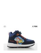 Paw Patrol High Sneaker High-top Sneakers Navy Paw Patrol