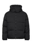 Down Jacket Foret Jakke Black Emporio Armani