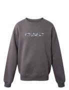 Crew Neck W/Print Tops Sweatshirts & Hoodies Sweatshirts Grey Hound