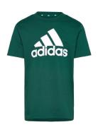 U Bl Tee Sport T-Kortærmet Skjorte Green Adidas Sportswear