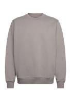 Anf Mens Sweatshirts Tops Sweatshirts & Hoodies Sweatshirts Grey Aberc...