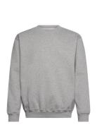 Wbcane Base Crew Tops Sweatshirts & Hoodies Sweatshirts Grey Woodbird