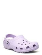 Classic Shoes Mules & Clogs Purple Crocs