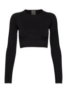 Ribbed Seamless Crop Long Sleeve Sport Crop Tops Long-sleeved Crop Top...