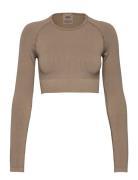 Ribbed Seamless Crop Long Sleeve Sport Crop Tops Long-sleeved Crop Top...