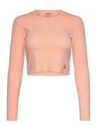 Adv Hit Cropped Top W Sport Crop Tops Long-sleeved Crop Tops  Craft