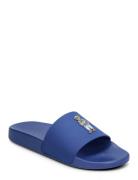 Polo Bear Slide Sandal Shoes Summer Shoes Sandals Pool Sliders Blue Po...