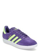 Adidas Gazelle Shoes Sport Sport Shoes Sport Sneakers Sport Low Top Sn...