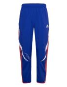 Wov Pnt Sport Men Sport Clothing Sport Pants Sport Training Pants Blue...