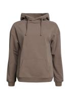 Ibbi Easy Sweatshirt Hoodie Brushed Sport Women Sport Clothing Sport S...