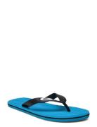 Catalina Flip Flop Klipklapper Sandaler Blue OAKLEY