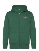 Graphic Fullzip Hoodie Tops Sweatshirts & Hoodies Hoodies Green GANT