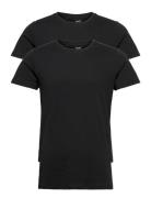 Rt Organic Cotton 2-Pack Tee Tops T-Kortærmet Skjorte Black Resteröds