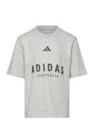 J Allszn Gfx T Sport T-Kortærmet Skjorte Grey Adidas Sportswear