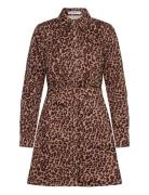 Leopard-Print Shirt Dress Kort Kjole Brown Mango