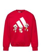 Lk Dy Mm Swt Sport Sweatshirts & Hoodies Sweatshirts Red Adidas Sports...