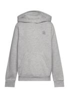 Hoodie Tops Sweatshirts & Hoodies Hoodies Grey Adidas Originals