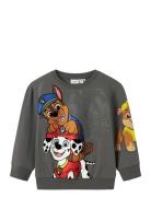 Nmmjonce Paw Nreg Sweat Unb Cplg Tops Sweatshirts & Hoodies Sweatshirt...