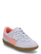 Palermo Ps Sport Sneakers Low-top Sneakers Blue PUMA