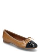 Ballerina Ballerinasko Ballerinaer Brown Billi Bi