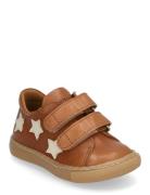 Shoes - Flat - With Velcro Low-top Sneakers Brown ANGULUS