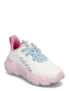 J Flexyper Fast Girl Low-top Sneakers White GEOX