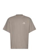 Mer Ps Tee M Sport Men Sports Clothes Sport Tops Sport T-Skjorte Beige...