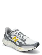 New Balance Freshfoam Arishi V4 Sport Men Sport Shoes Sport Running Sh...