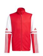 Sq25 Tr Jkt Y Sport Sweatshirts & Hoodies Sweatshirts Red Adidas Perfo...