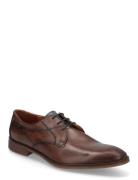 Ostia Shoes Business Derby Shoes Brown Lloyd