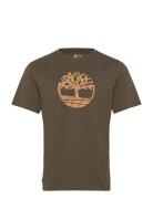 Camo Tree Logo Short Sleeve Tee Tops T-Kortærmet Skjorte Khaki Green T...