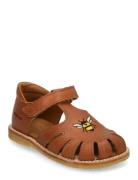 Sandals - Flat - Closed Toe Shoes Summer Shoes Sandals Brown ANGULUS