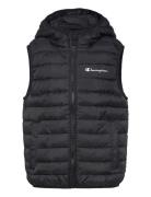 Hooded Vest Foret Vest Black Champion